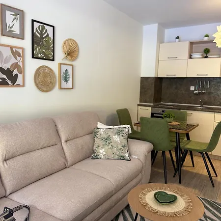 Boho Cascadas Family * サニービーチ